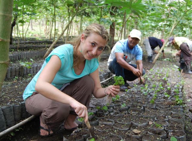 planting coffee beans