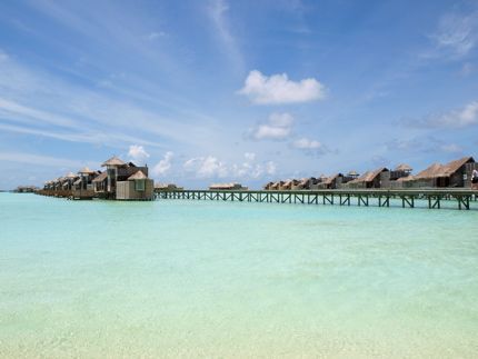 peas in a pod - maldives