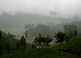 central highlands