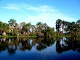 The Orinoco Delta